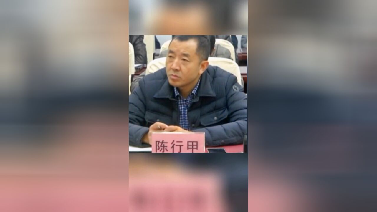 曾冰:天真是道德的最高境界!陈行甲 ,陈行甲人生笔记