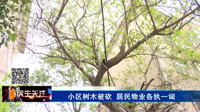 小区树木被砍 居民物业各执一词