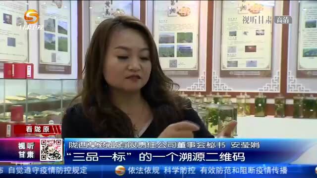 定西:中医药产业助推经济高质量发展