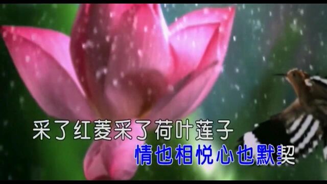  歌曲《往事如歌》三番作词 佚名作曲 