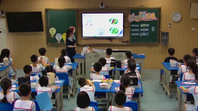 (天元小学孔锐)小学三年级下册第1课《美化教室一角》教学视频