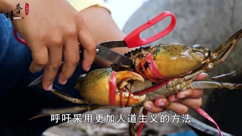 英国发现螃蟹能感知痛觉，多地禁止活煮螃蟹，这属于虐杀它们吗？