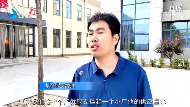 问政德州 | 打造更强产业链任重道远