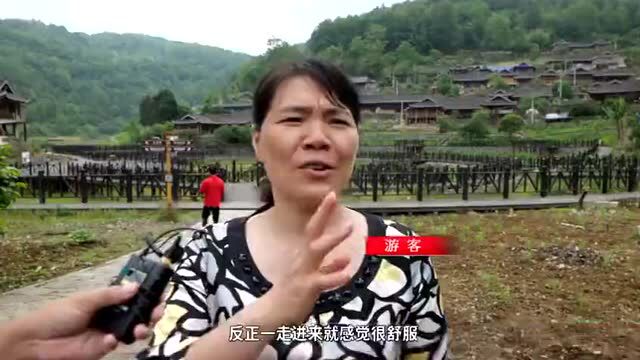 重磅!央视CCTV1、CCTV4等多个平台栏目重点关注!彭水又在全国亮了