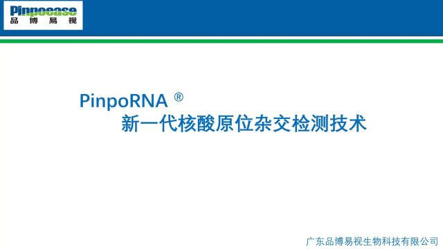 PinponRNA——新一代RNA原位杂交