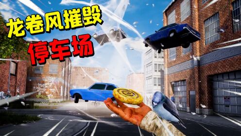 流浪汉模拟器06：大鸽会点风遁很正常吧，龙卷风摧毁停车场！！！_高清