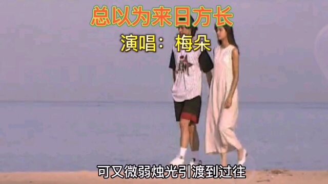 《总以为来日方长》演唱:梅朵