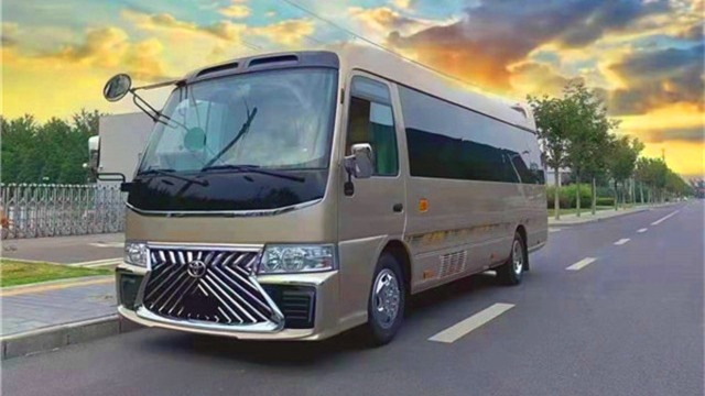 2022款丰田考斯特12座蒙娜丽莎版,企业高端出行定制商务车