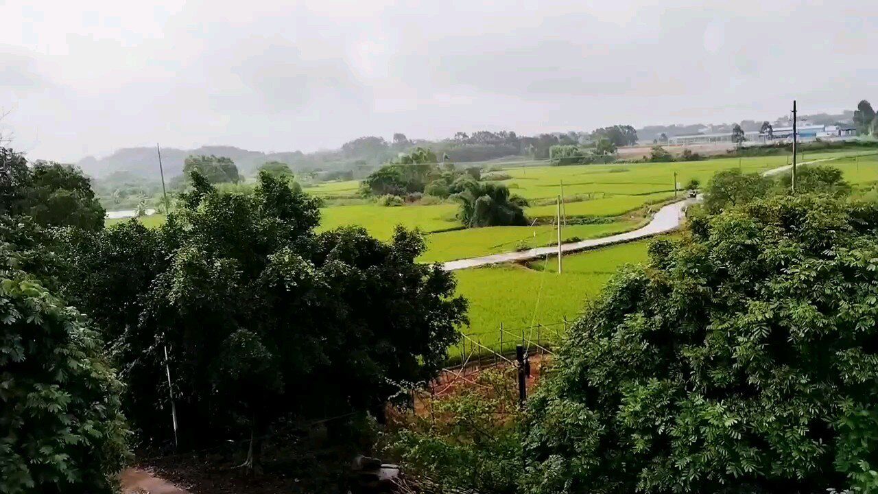 最新消息,受近日強降雨影響,6月9日,北流市新豐鎮大村