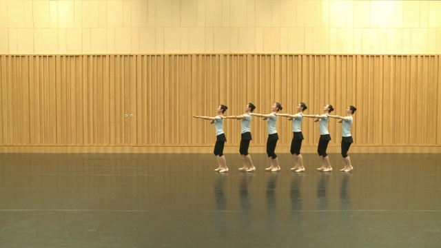 舞蹈家协会最新中国舞考级第十级:羊角花儿云里开