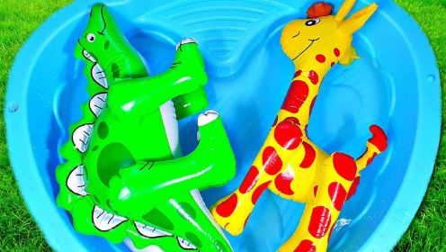 卡通小鸭子海龟动物玩具展示