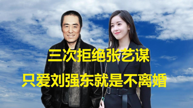 三次拒绝张艺谋,只爱刘强东的章泽天,就是不离婚!