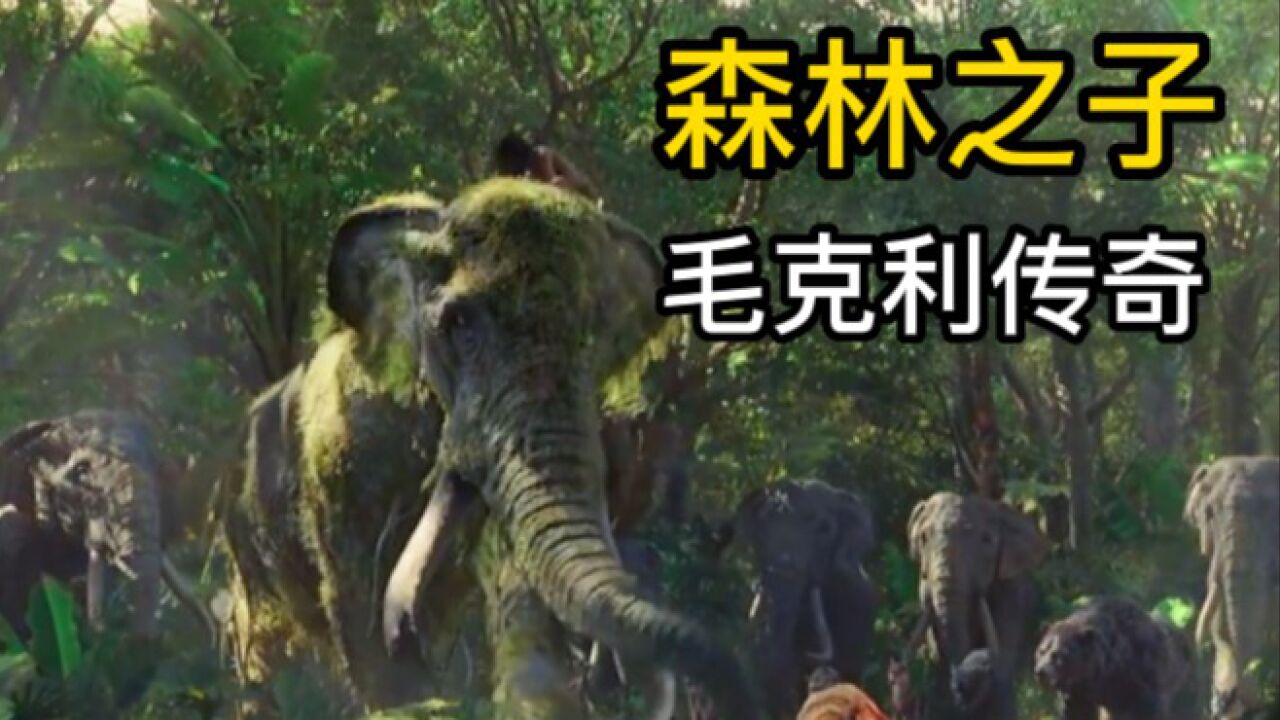 狼孩战胜恶虎，森林重回宁静_高清1080P在线观看平台_腾讯视频