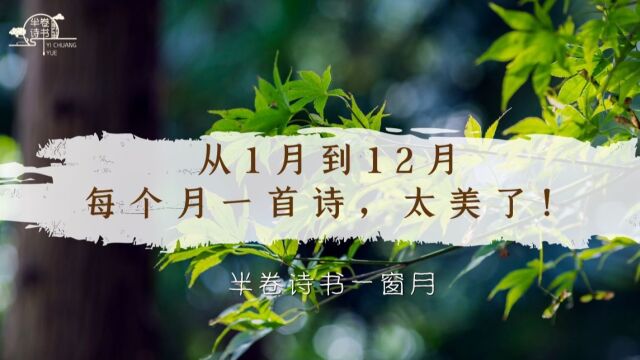 【12首绝美四季诗词】从一月到十二月,每个月一首诗,太美了!