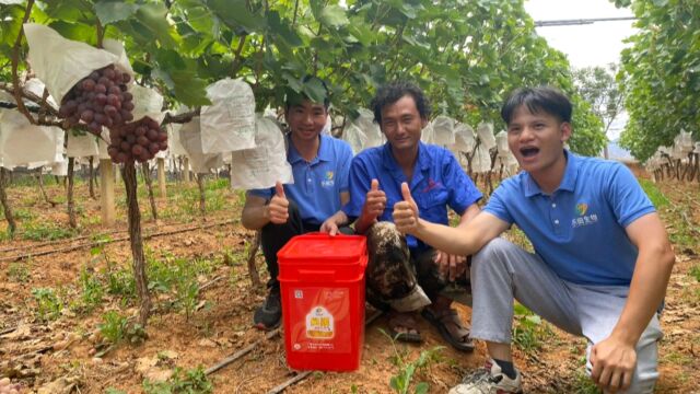 乐田生物田颜有机钾