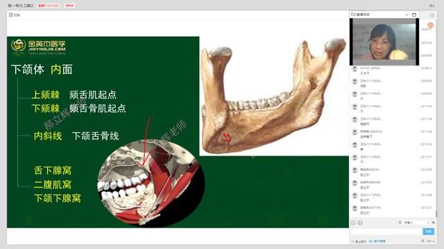 口腔主治医师考试02第一单元口解2