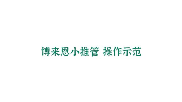 怎么判断猫要不要驱虫?博来恩内外同驱帮你!