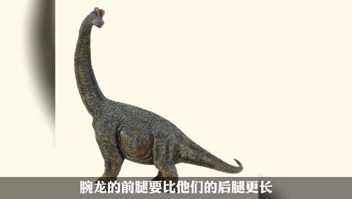 地球上体型最大的恐龙有多大？中