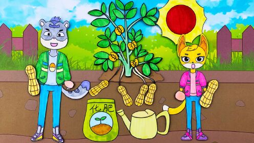 手绘定格动画:为什么花生是地上开花,地下结果呢?