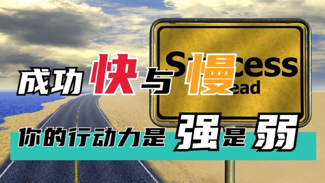 事业财富:成功快与慢,你的行动力是强还是弱?