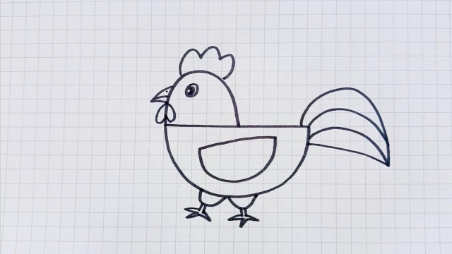 用半圆形画大公鸡