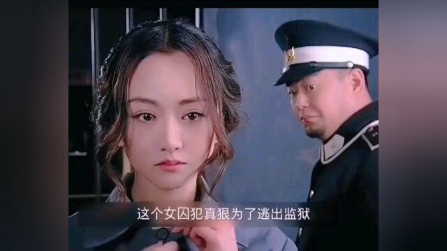 《千金女贼》