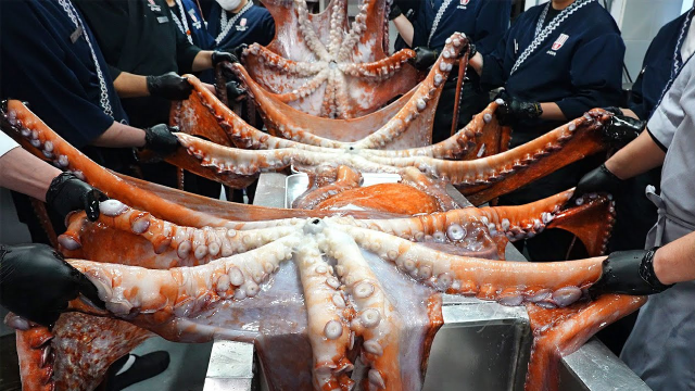 买3只"巨型"章鱼拿去酒店加工,恋尚美食