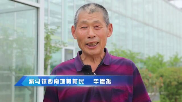 海发集团深耕“藏马绿品＂,以现代农业推动乡村振兴