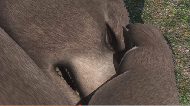 阿贡 第66集 减肥计划