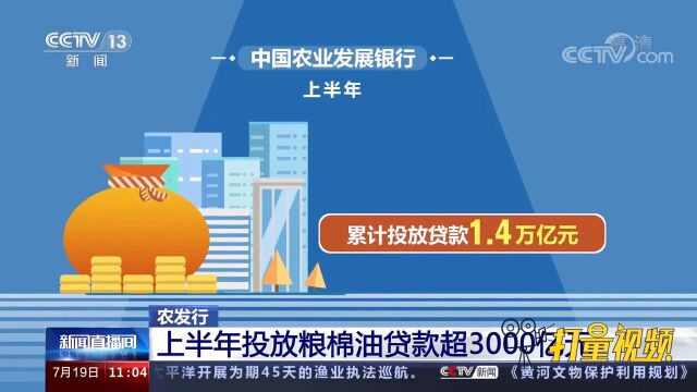 农发行加大政策性支农力度,上半年投放粮棉油贷超3000亿元