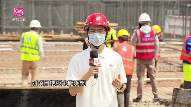 深圳多个项目建设迎来新进展,涉及教育、文化设施等