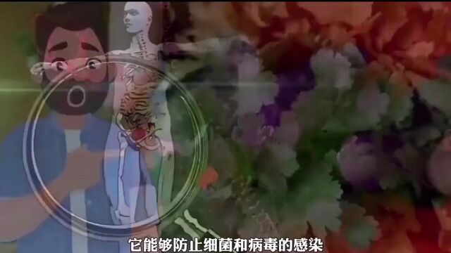 香菜的功效竟然这么可怕