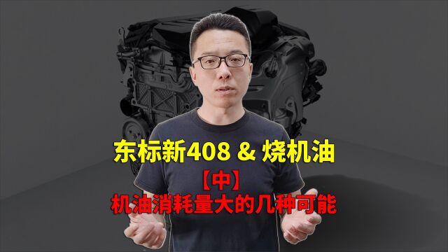 东标新408&烧机油【中】机油消耗量大的几种可能