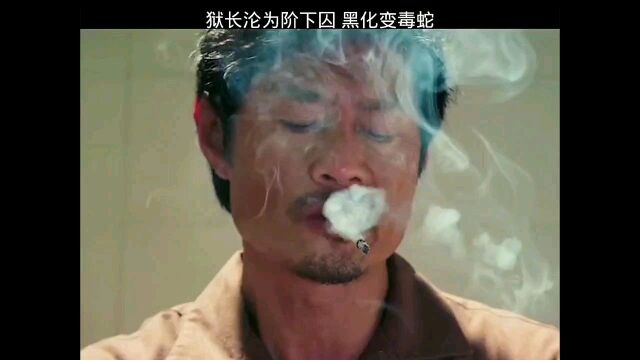 狱中风云解说