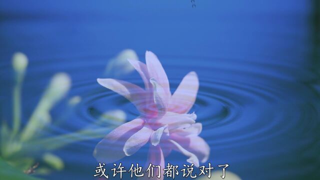 美文朗读《人生若只如初见》作者:林徽因