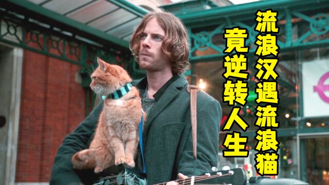 真实故事改编《流浪猫鲍勃》,一只普通的流浪猫,竟拯救了一个人