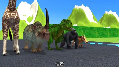 第23集 | 疯狂动物系列，动物们进行弹弓跳高比赛，霸王龙的尾巴作用很大！#动画 #恐龙 #搞笑动画 #儿童动画