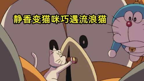 静香变成猫咪图片