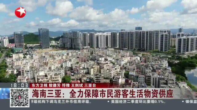 海南三亚:全力保障市民游客生活物资供应