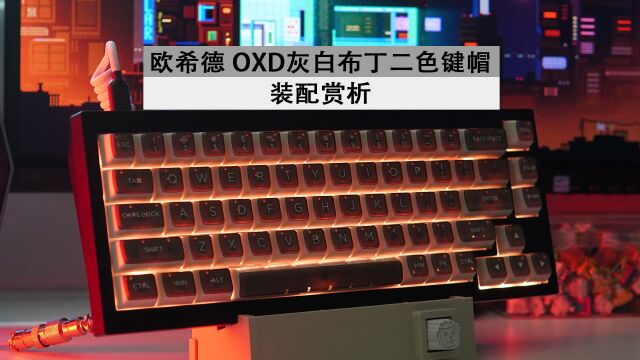 透了但不完全透 欧希德 OXD灰白布丁二色键帽装配赏析