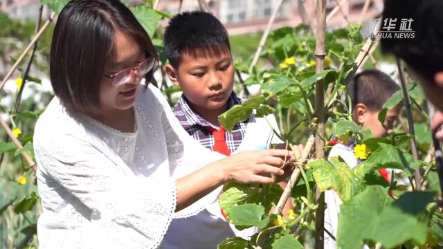 河北迁安:劳动教育基地里开启“开学第一课”