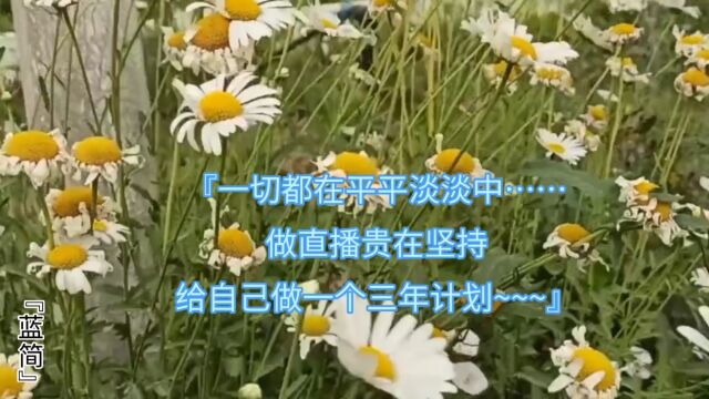 #一花一世界#直播间创业@~^蓝简