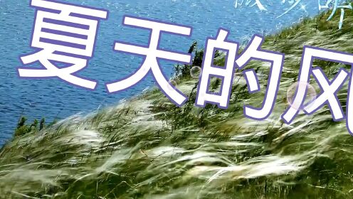 夏天的风_高清1080P在线观看平台_腾讯视频