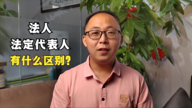 法人和法定代表人,到底有什么区别?