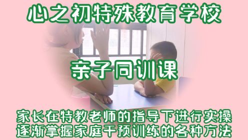 武汉自闭症康复机构特殊儿童学校家庭干预训练亲子同训家长学习培训实操视频