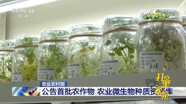 速看!农业农村部公告第一批国家农作物、农业微生物种质资源库