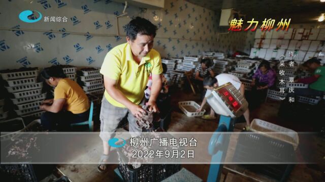 【媒体视点】上周,这些融安新闻被上级媒体关注