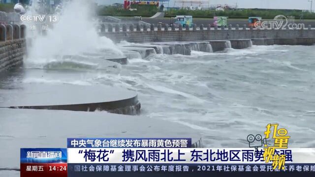 暴雨黄色预警!“梅花”携风雨北上,东北地区雨势较强