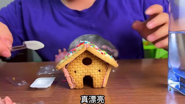 奇特的糖果:糖果屋手工DIY