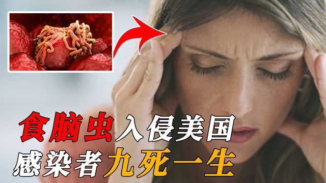 致死率高达97%!恐怖"食脑虫"惊现美国,能从人类鼻子钻进大脑